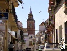  Torre de la Parroquia Mayor de Sta. Mara la Blanca de Los Palacios.