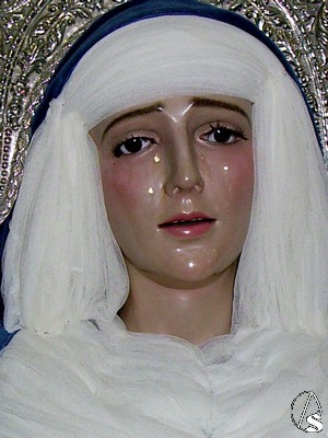 La Virgen es obra del escultor alcalareño Manuel Pineda Calderón en 1961, bendiciéndose ese mismo año bajo la advocación de Nuestra Señora de la Amargura 