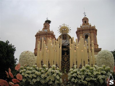 En la actualidad, esta filial de la Vera Cruz procesiona el Domingo de Ramos desde la Ermita de Nuestra Seora de la Soledad 