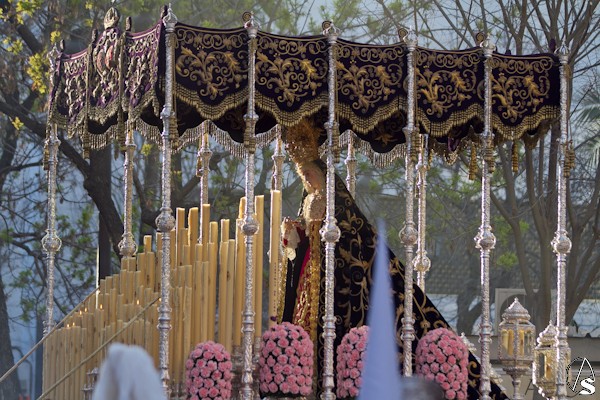 Domingo de Ramos Hispalense 2016.  Fran Granado