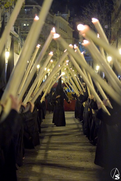 Domingo de Ramos Hispalense 2016.  Fran Granado