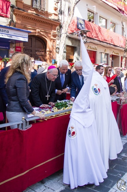 Domingo de Ramos Hispalense 2017. Fran Granado
