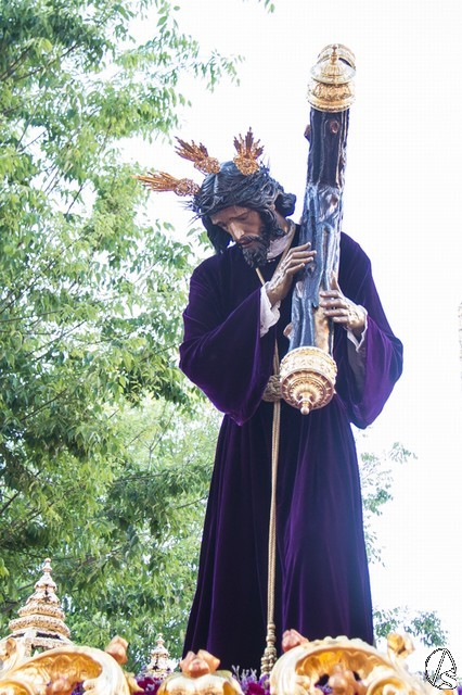 Domingo de Ramos Hispalense 2017. Fran Granado