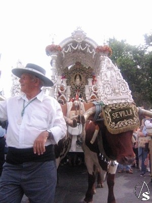 La Hdad. del Rocío de Sevilla se vá a la Romería