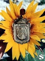 Medalla de laHdad. del Roco de Los Palacios y Villafranca.
