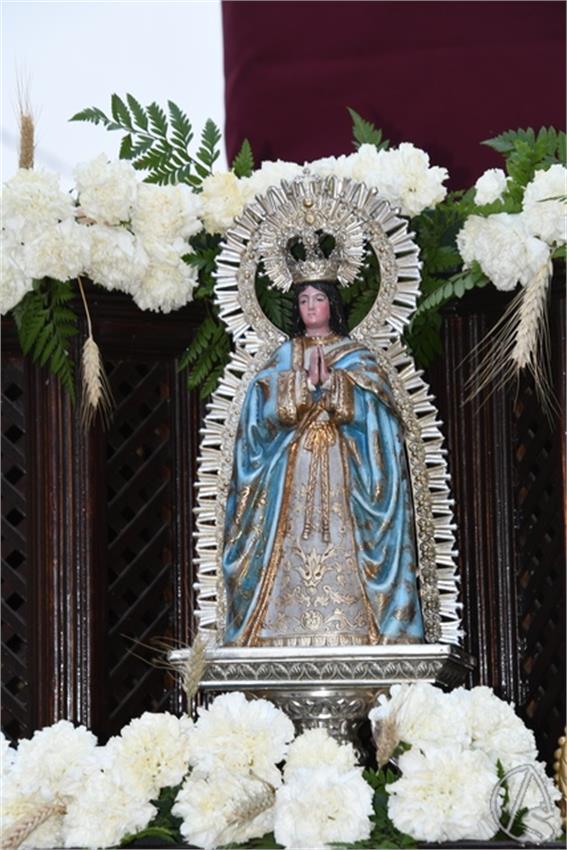 1._San_Juan_Bosco._2024._La_Algaba__3___Copiar_.JPG