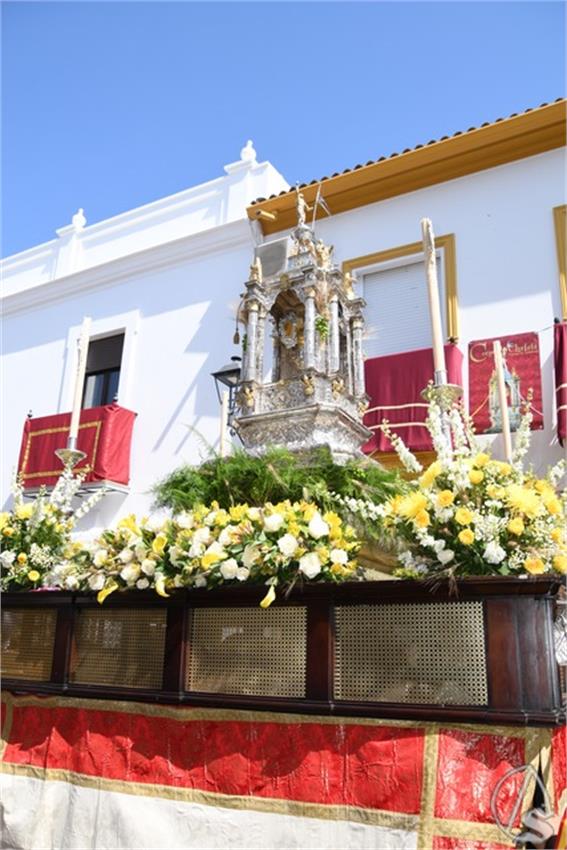 3._Custodia._2024._Fuentes_de_Andalucia__44___Copiar_.JPG