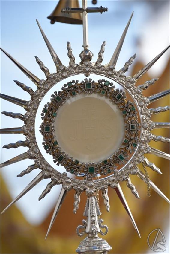 3._Custodia._2026._Penaflor_31_Copiar.JPG