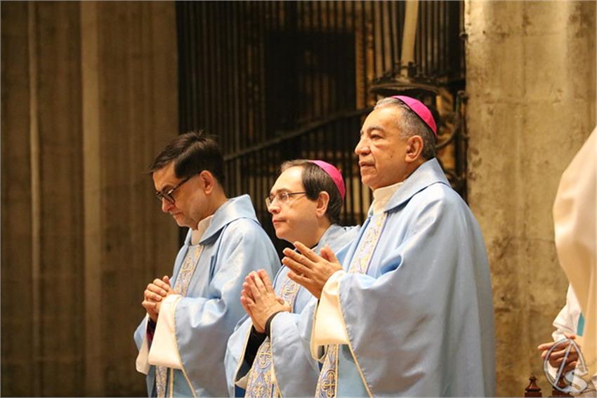 54190998315_2a107d8981_z