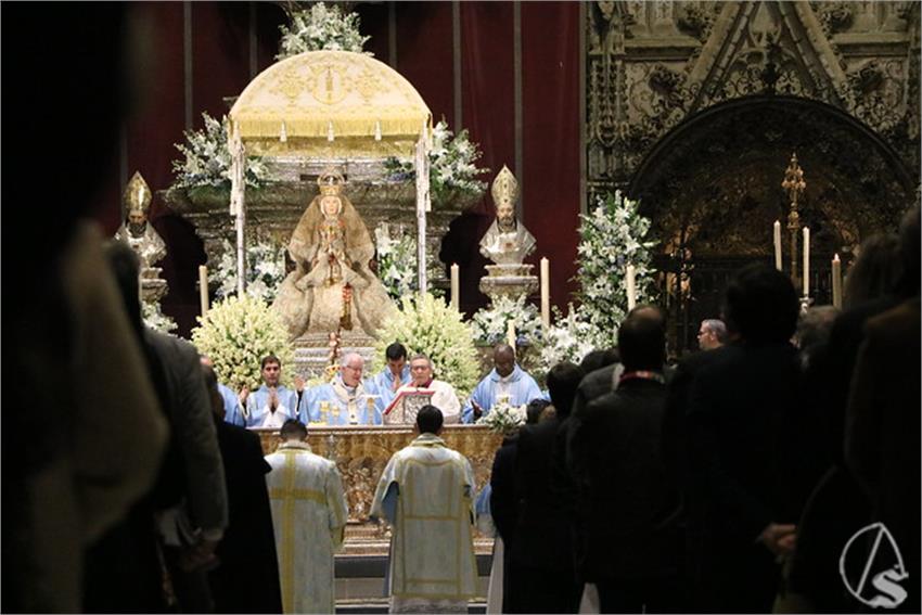 54190998350_35ce975a34_z