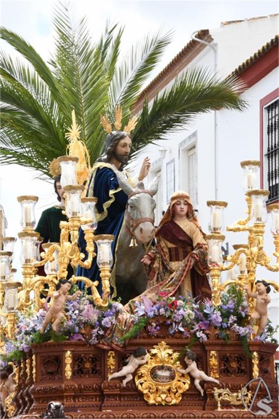 Amor._2025._Huevar_del_Aljarafe__49___Copiar_.JPG