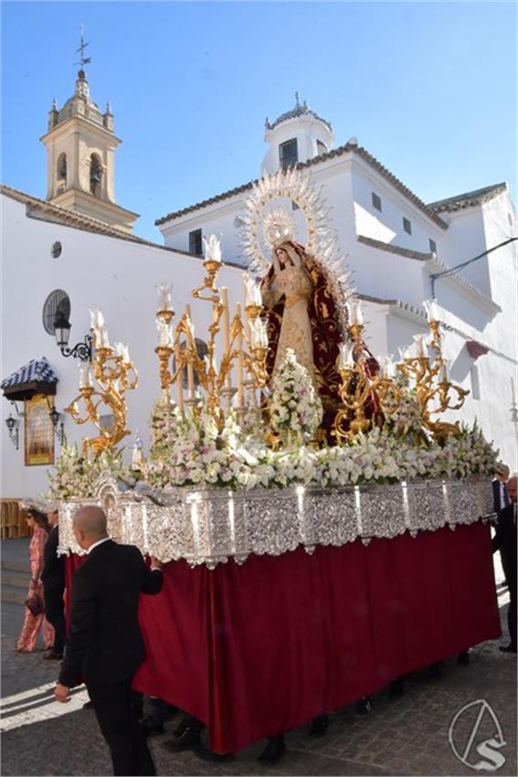 Antigua_y_Santisimo._2026._Olivares__63___Copiar_.JPG