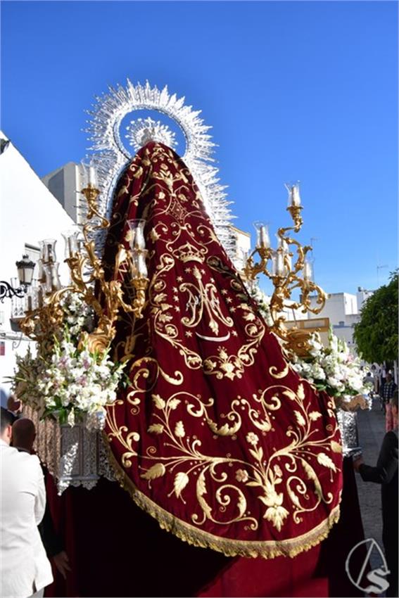 Antigua_y_Santisimo._2026._Olivares__69___Copiar_.JPG