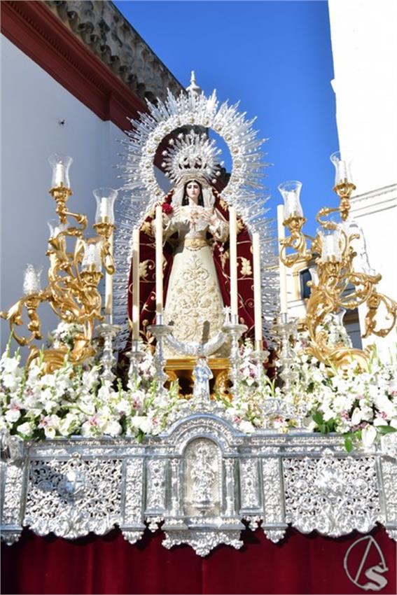 Antigua_y_Santisimo._2026._Olivares__78___Copiar_.JPG