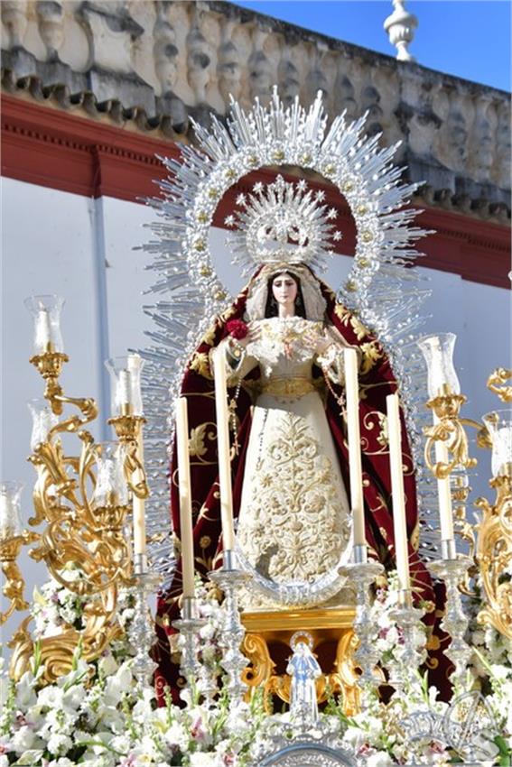 Antigua_y_Santisimo._2026._Olivares__81___Copiar_.JPG