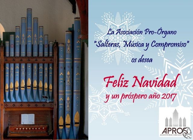 Asociaci&oacute;n Pro &Oacute;rgano Salteras M&uacute;sica y Compromiso 