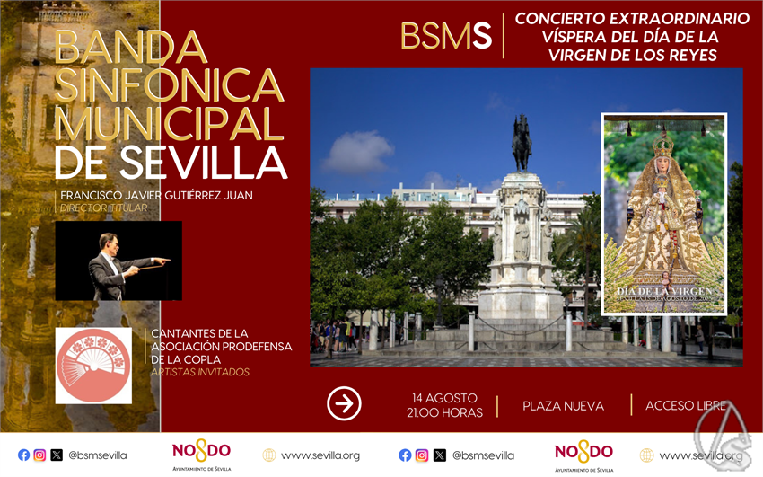 BSMS_-_Diseno_Panoramico-8