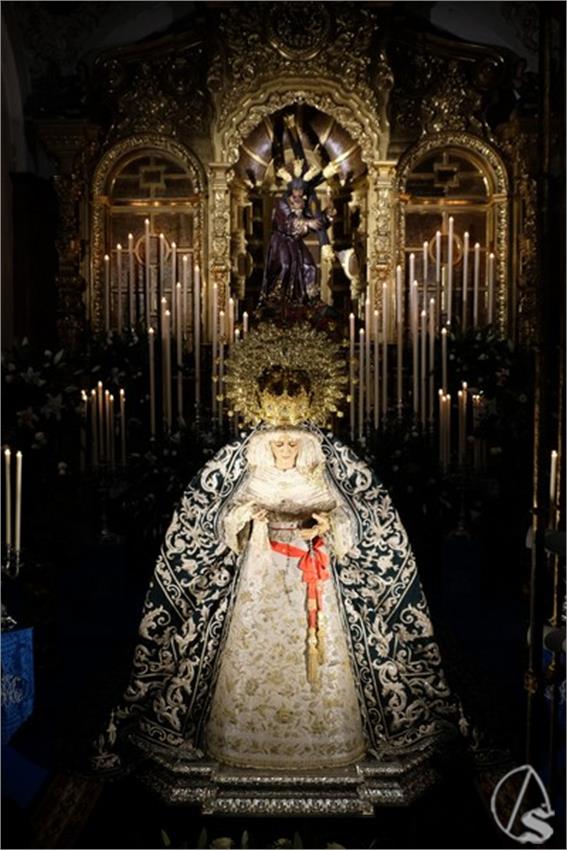 Besamanos_Congreso_Candelaria_24_alberto__10___Copiar_.JPG