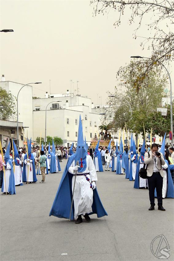 Borriquita_Utrera_Luis_M_Fernandez_240324__3_.JPG
