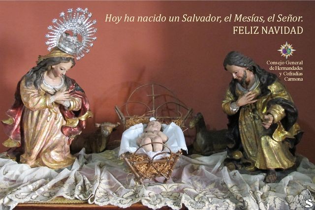 Consejo HH y CC Carmona