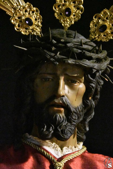 pio XII