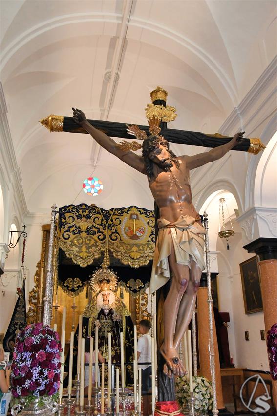 remedios montellano