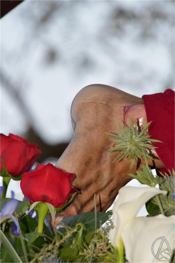 Cristo_de_la_Salud._2025._Castilleja_de_la_Cuesta__100___Copiar_.JPG