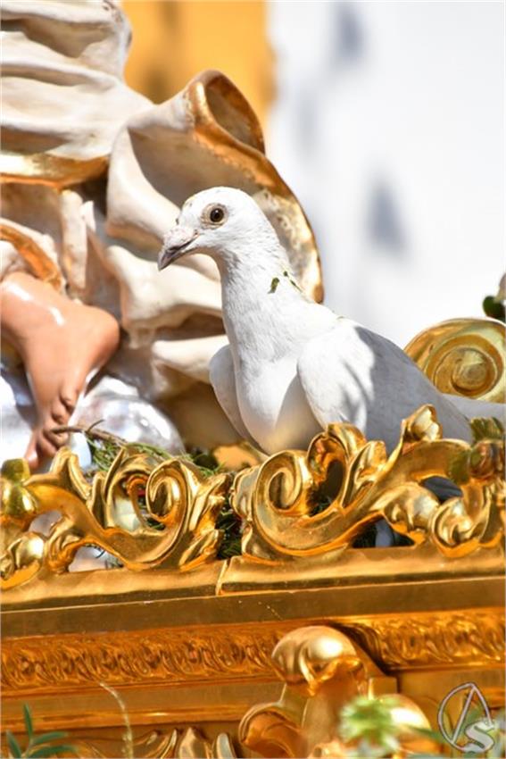 Cruz_de_Arriba_y_Virgen_del_Rosario._2026_Aznalcollar._103_Copiar.JPG
