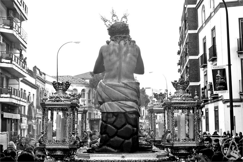 DSC09484_1.JPG