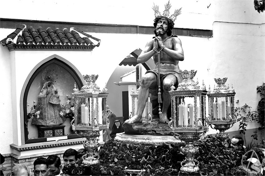 DSC09716_1.JPG