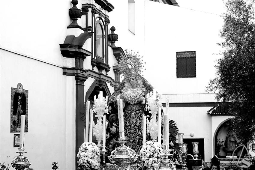 DSC09990_1.JPG