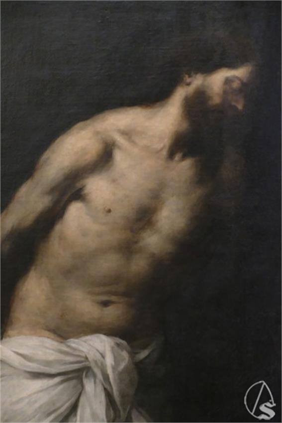 DSCF0005__Copiar__1.JPG