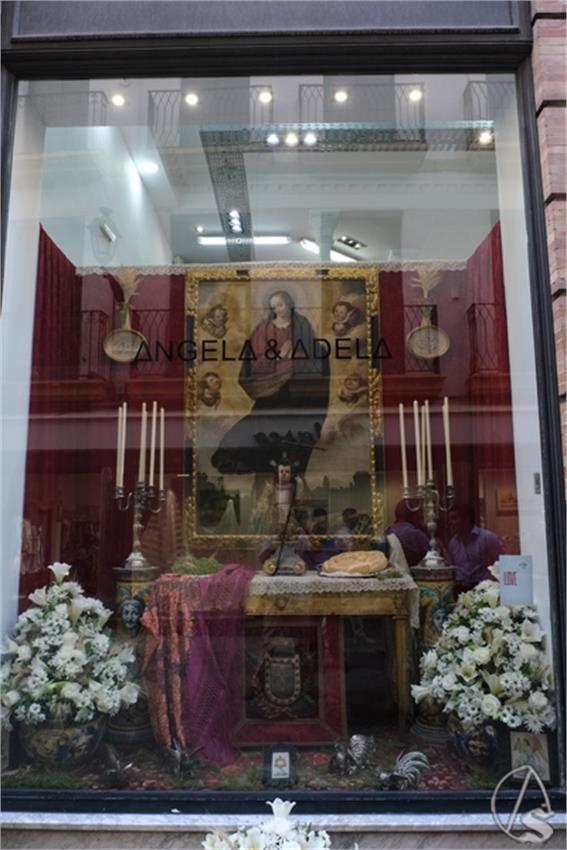 DSCF0014_Copiar.JPG