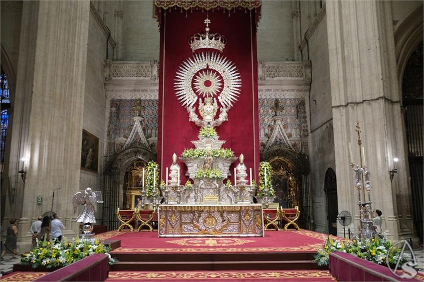 DSCF0064_Copiar.JPG