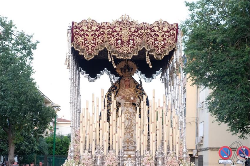desamparados alcosa