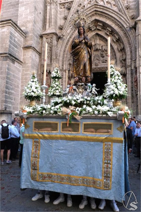 DSCF0353_Copiar.JPG