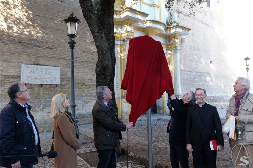 DSCF0409__Copiar__2.JPG