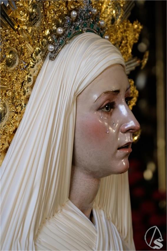 DSCF0454__Copiar__1.JPG