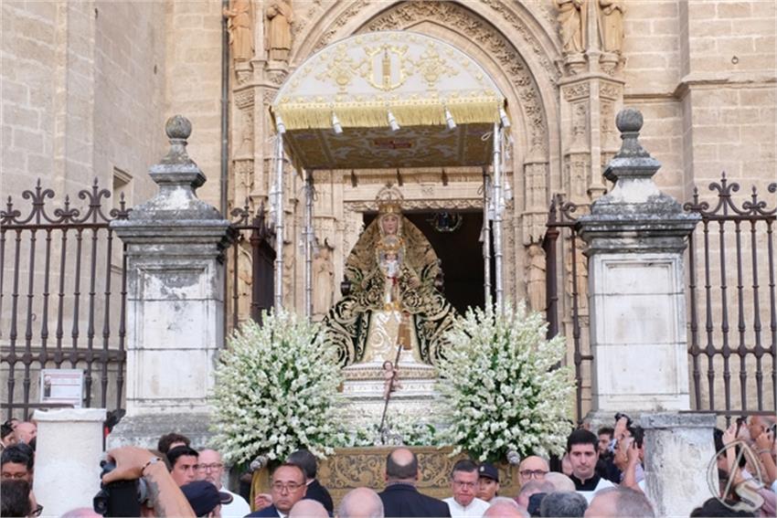 DSCF0562__Copiar__4.JPG