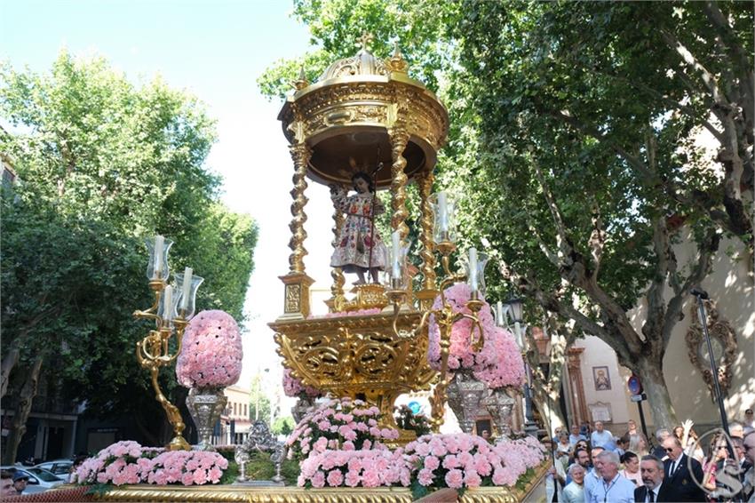 DSCF0690_Copiar.JPG