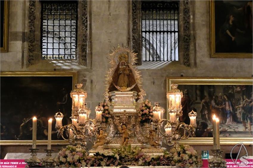DSCF0741__Copiar__1.JPG