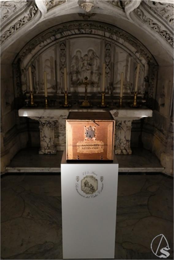 DSCF0768__Copiar__1.JPG