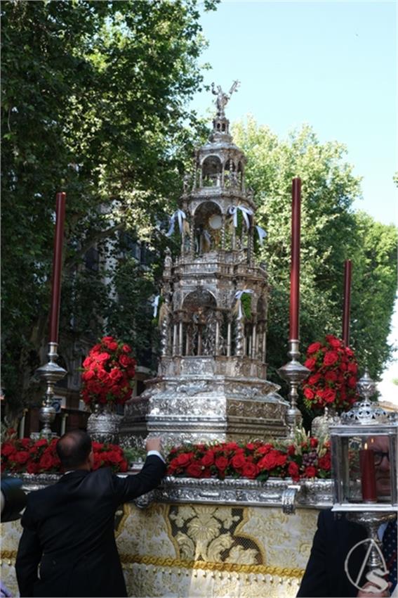 DSCF0788_Copiar.JPG