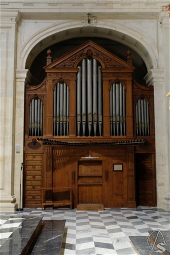 DSCF0964__Copiar__2.JPG