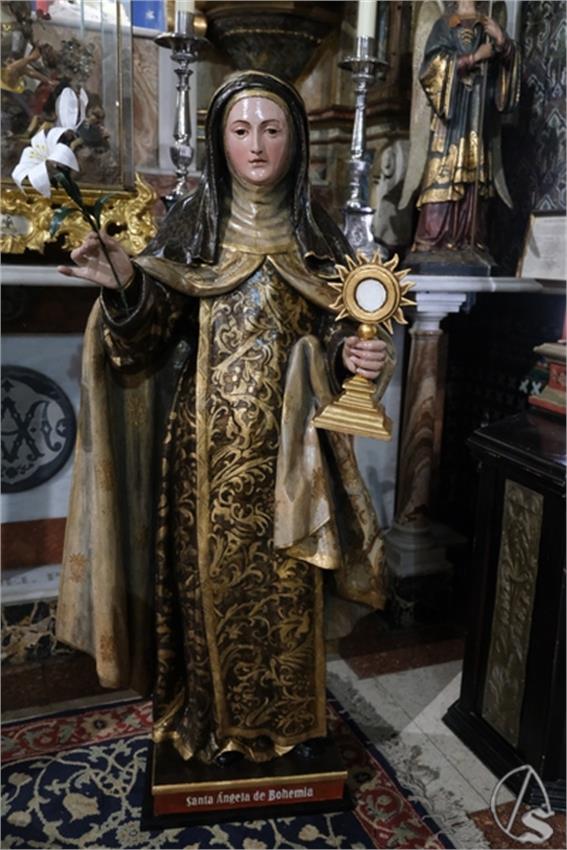 DSCF1203_Copiar.JPG