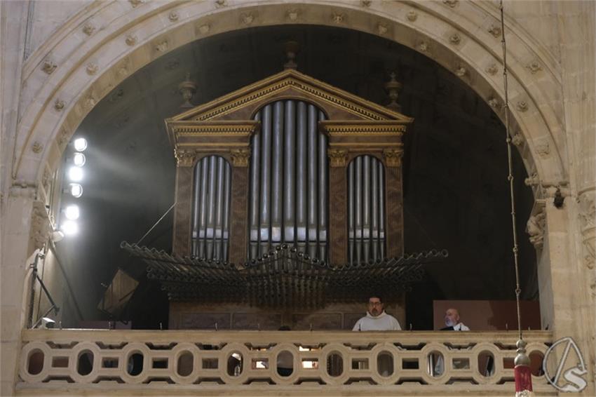 DSCF1514_Copiar.JPG
