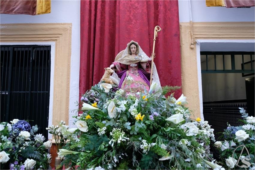 DSCF2137__Copiar__4.JPG