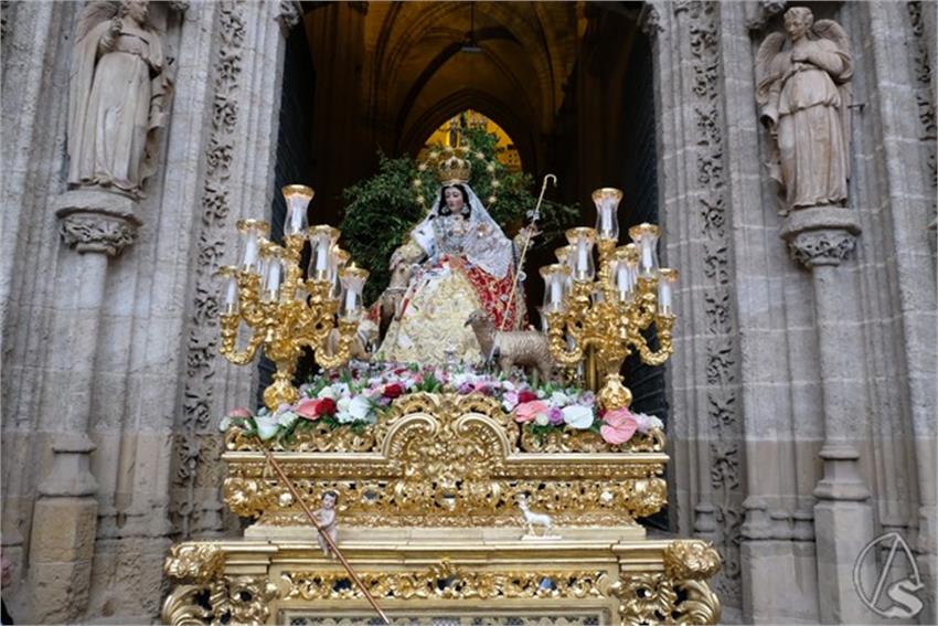 DSCF2585__Copiar__4.JPG