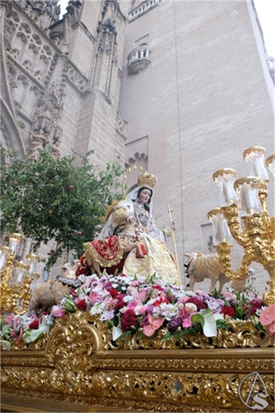 DSCF2594__Copiar__2.JPG