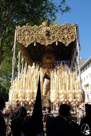 miercoles sed